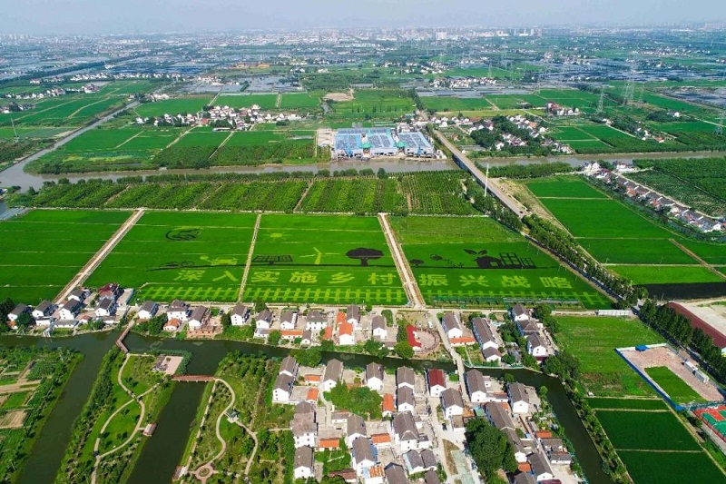 農(nóng)村人居環(huán)境整治提升5年行動(dòng)將啟！2021中央一號(hào)文件正式發(fā)布