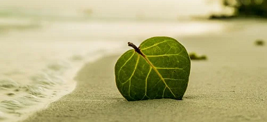 生態(tài)環(huán)境部：加強(qiáng)“三水”統(tǒng)籌、陸海聯(lián)動(dòng)，深入打好碧水保衛(wèi)戰(zhàn)！