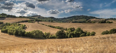 中央環(huán)保督察通報(bào)典型案例，污泥處置問題再上榜