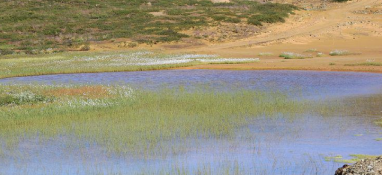 污泥違法違規(guī)處置問題屢屢發(fā)生 如何做好資源化利用？