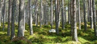 2022年環(huán)境專項(xiàng)執(zhí)法已經(jīng)開始！這些企業(yè)是檢查重點(diǎn)！