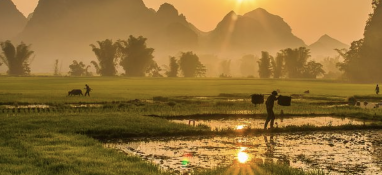 污泥含水率太難降？加點(diǎn)藥劑試試！