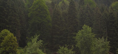 環(huán)境部答復(fù)“建議國家加大對固體廢物處理技術(shù)和專項設(shè)備的研發(fā)投入，增加專業(yè)處理機(jī)構(gòu)的數(shù)量”的建議