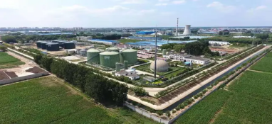 將“碳”進(jìn)行到底！農(nóng)業(yè)農(nóng)村減排固碳“加速中”