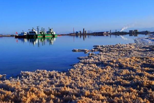 上海國際環(huán)保展|青海省發(fā)布最新生態(tài)環(huán)境報(bào)告