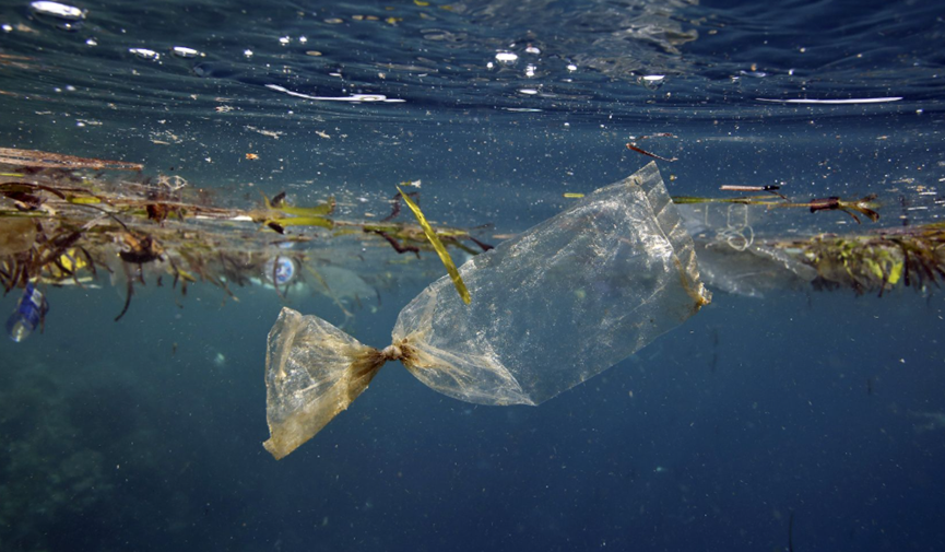 上海國際環(huán)保展|世界環(huán)境日聚焦塑料污染治理 全球行動刻不容緩