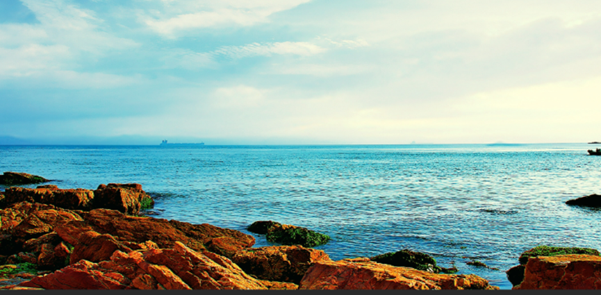 國際環(huán)保展|碧海金沙間的生態(tài)復興——中國最北海岸線治理紀實